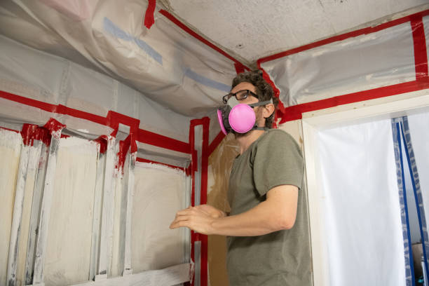 Mold Odor Removal Services in Woodson Terrace, MO
